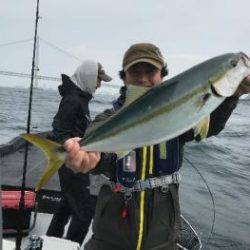 シーマジカル 釣果