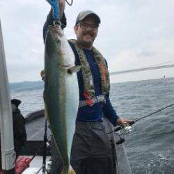 シーマジカル 釣果