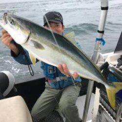 シーマジカル 釣果