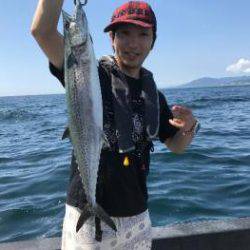 シーマジカル 釣果