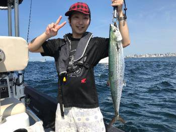 シーマジカル 釣果