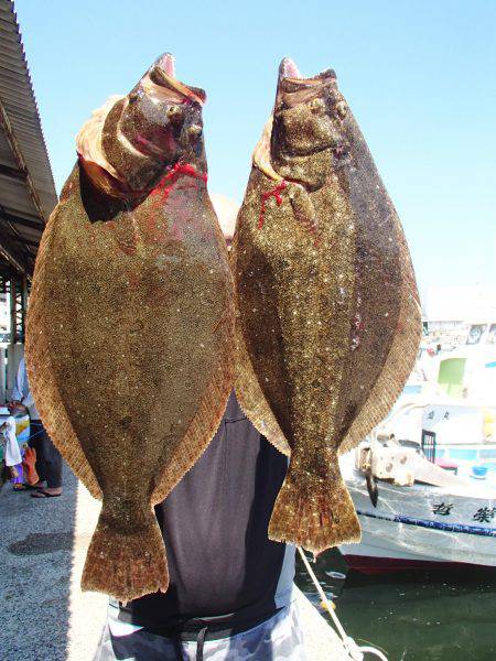 久六釣船 釣果