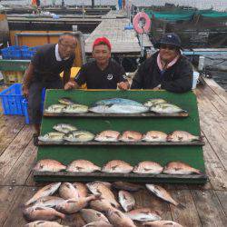 みうら海王 釣果