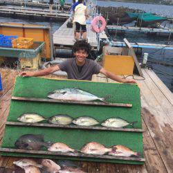 みうら海王 釣果