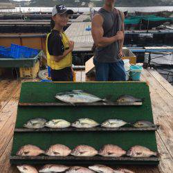 みうら海王 釣果