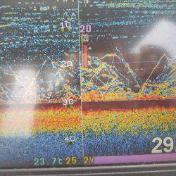 遊漁船 ニライカナイ 釣果