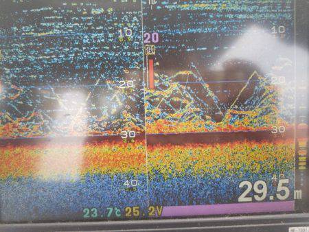遊漁船 ニライカナイ 釣果