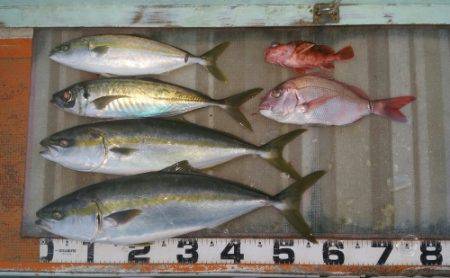 火遠理丸（ほおりまる） 釣果