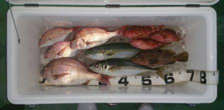 火遠理丸（ほおりまる） 釣果