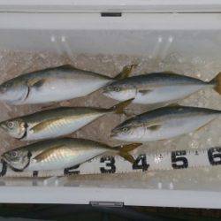 火遠理丸（ほおりまる） 釣果