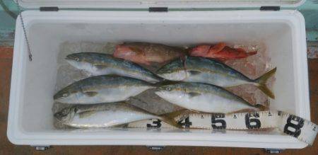 火遠理丸（ほおりまる） 釣果