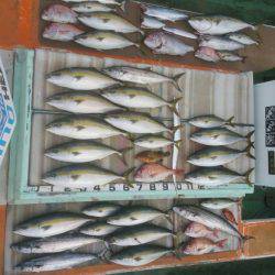 火遠理丸（ほおりまる） 釣果