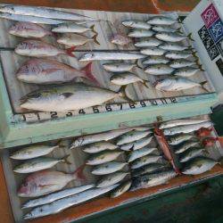 火遠理丸（ほおりまる） 釣果