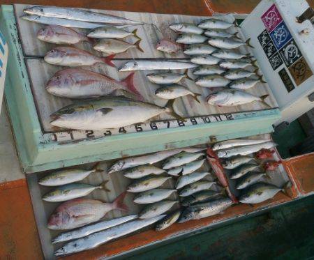 火遠理丸（ほおりまる） 釣果