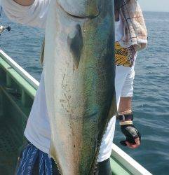 火遠理丸（ほおりまる） 釣果