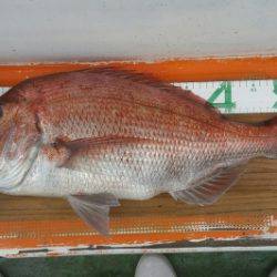 火遠理丸（ほおりまる） 釣果