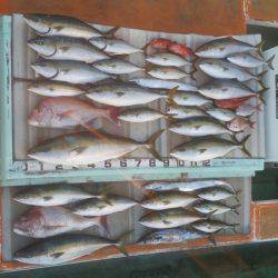 火遠理丸（ほおりまる） 釣果