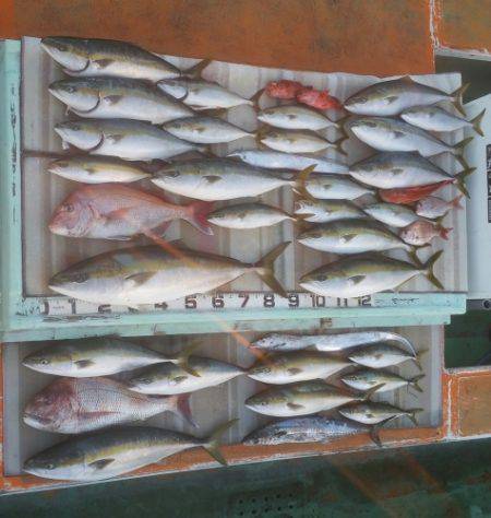 火遠理丸（ほおりまる） 釣果