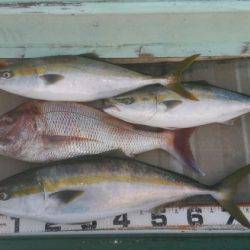 火遠理丸（ほおりまる） 釣果