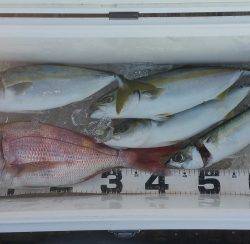 火遠理丸（ほおりまる） 釣果