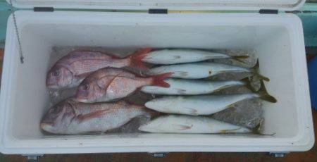 火遠理丸（ほおりまる） 釣果