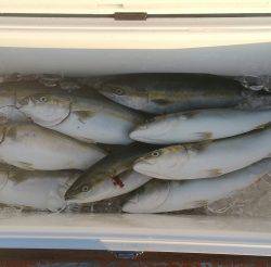 火遠理丸（ほおりまる） 釣果