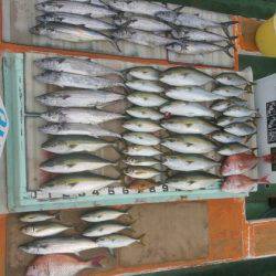 火遠理丸（ほおりまる） 釣果