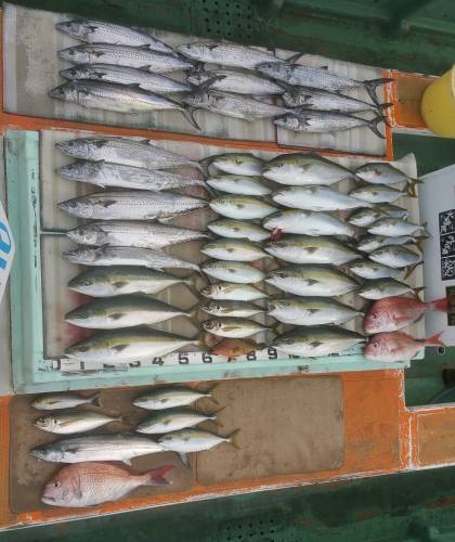 火遠理丸（ほおりまる） 釣果