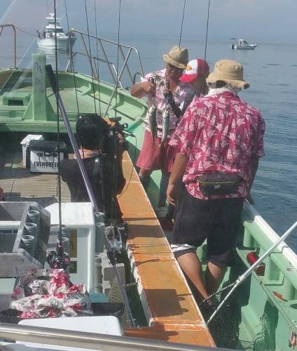 火遠理丸（ほおりまる） 釣果