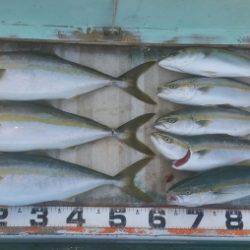 火遠理丸（ほおりまる） 釣果