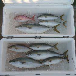 火遠理丸（ほおりまる） 釣果