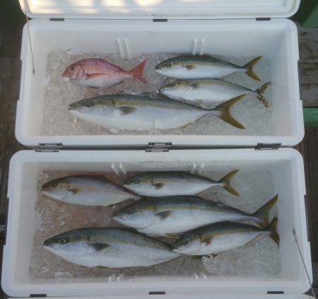 火遠理丸（ほおりまる） 釣果