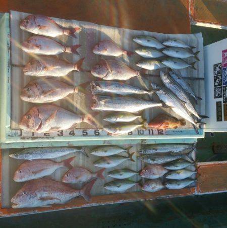 火遠理丸（ほおりまる） 釣果