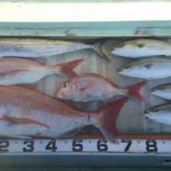 火遠理丸（ほおりまる） 釣果