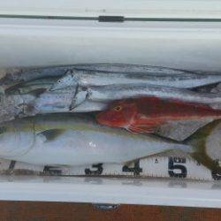 火遠理丸（ほおりまる） 釣果