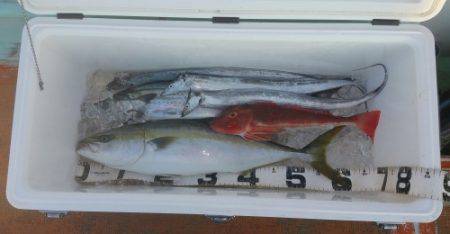 火遠理丸（ほおりまる） 釣果