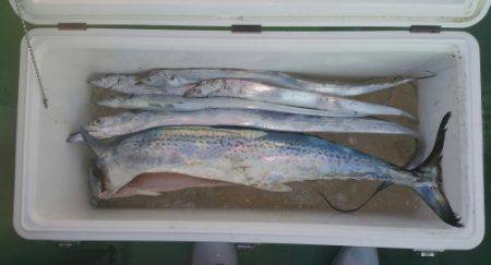 火遠理丸（ほおりまる） 釣果