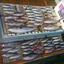 火遠理丸（ほおりまる） 釣果