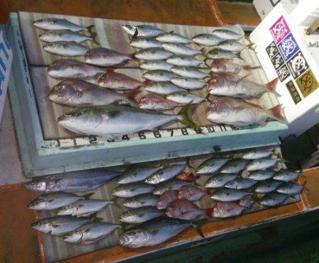 火遠理丸（ほおりまる） 釣果