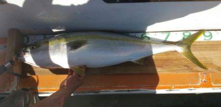 火遠理丸（ほおりまる） 釣果