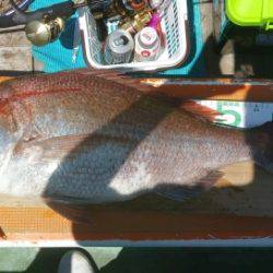 火遠理丸（ほおりまる） 釣果