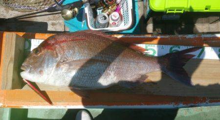 火遠理丸（ほおりまる） 釣果