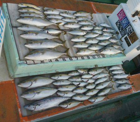 火遠理丸（ほおりまる） 釣果