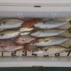 火遠理丸（ほおりまる） 釣果