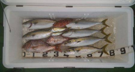 火遠理丸（ほおりまる） 釣果