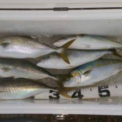 火遠理丸（ほおりまる） 釣果