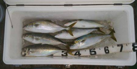 火遠理丸（ほおりまる） 釣果