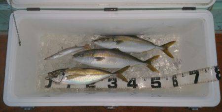 火遠理丸（ほおりまる） 釣果