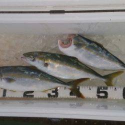 火遠理丸（ほおりまる） 釣果