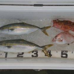 火遠理丸（ほおりまる） 釣果